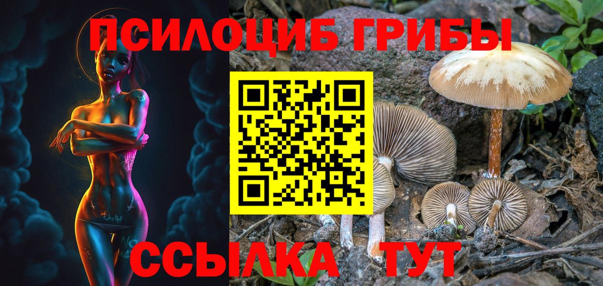 Галлюциногенные грибы Psilocybine cubensis  Псилоцибиновые грибы MAGIC MUSHROOMS  Великий Устюг  Вход с VPN 